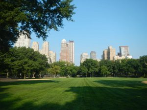New York - Central Park