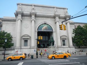 New York - le Musée d'Histoire Naturelle