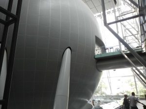 New York - le Musée d'Histoire Naturelle