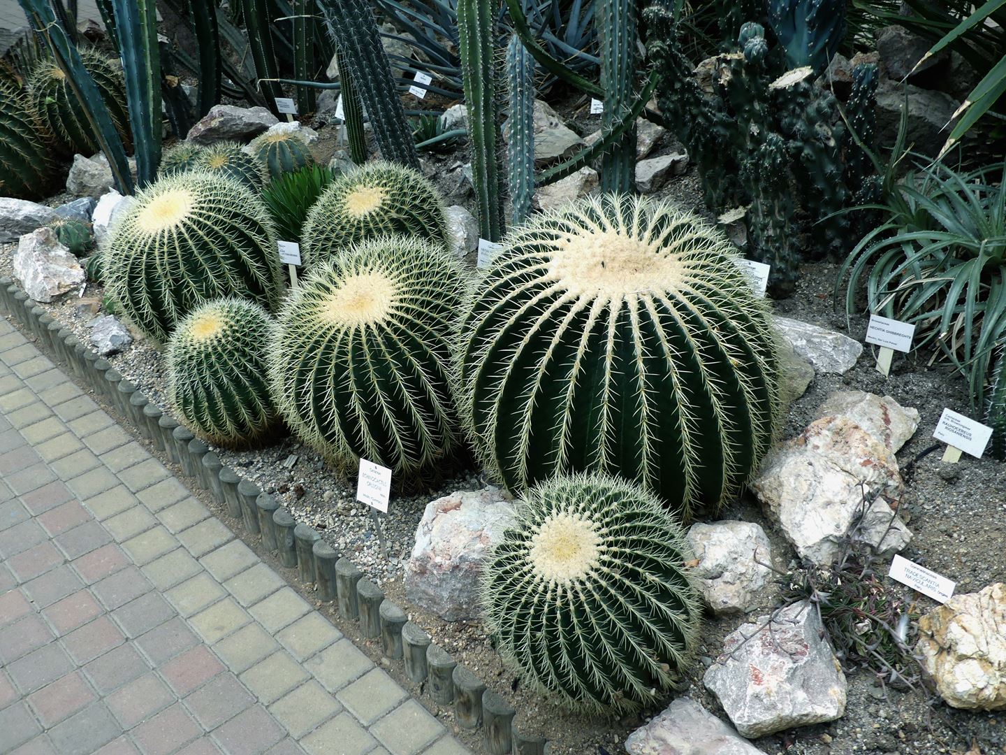 Prague Jardin botanique Claironyva