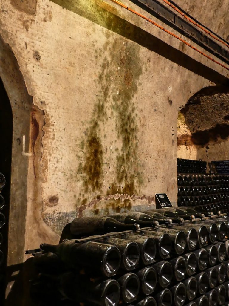 Claironyva France Reims Champagne