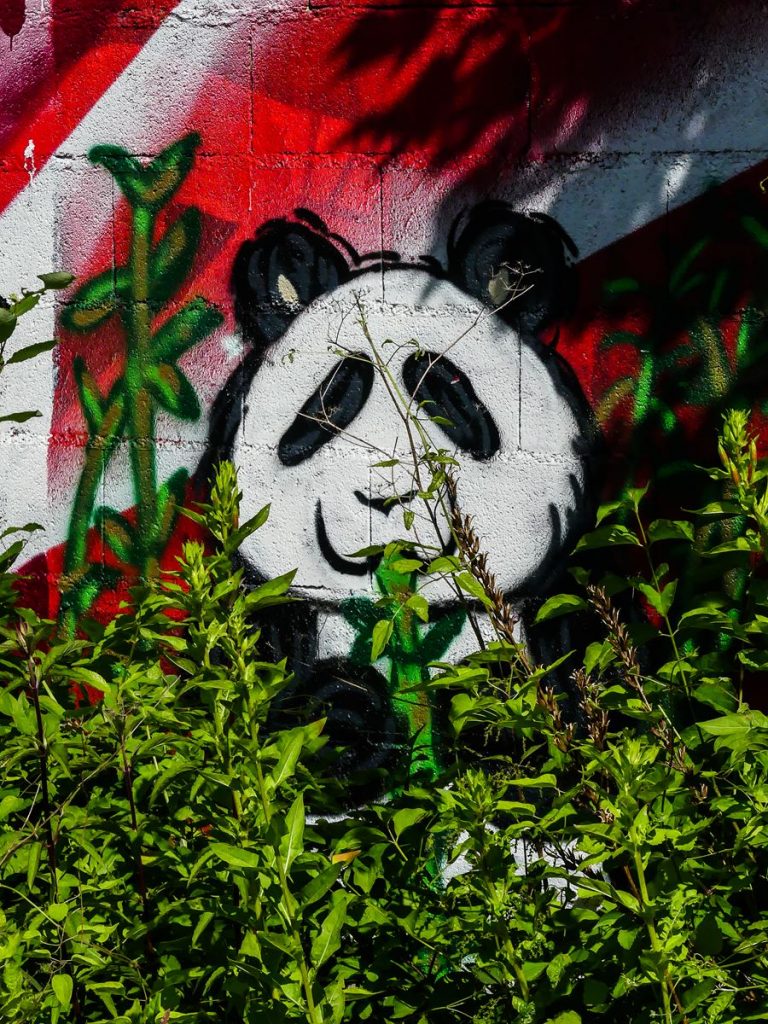 Claironyva France Reims street art