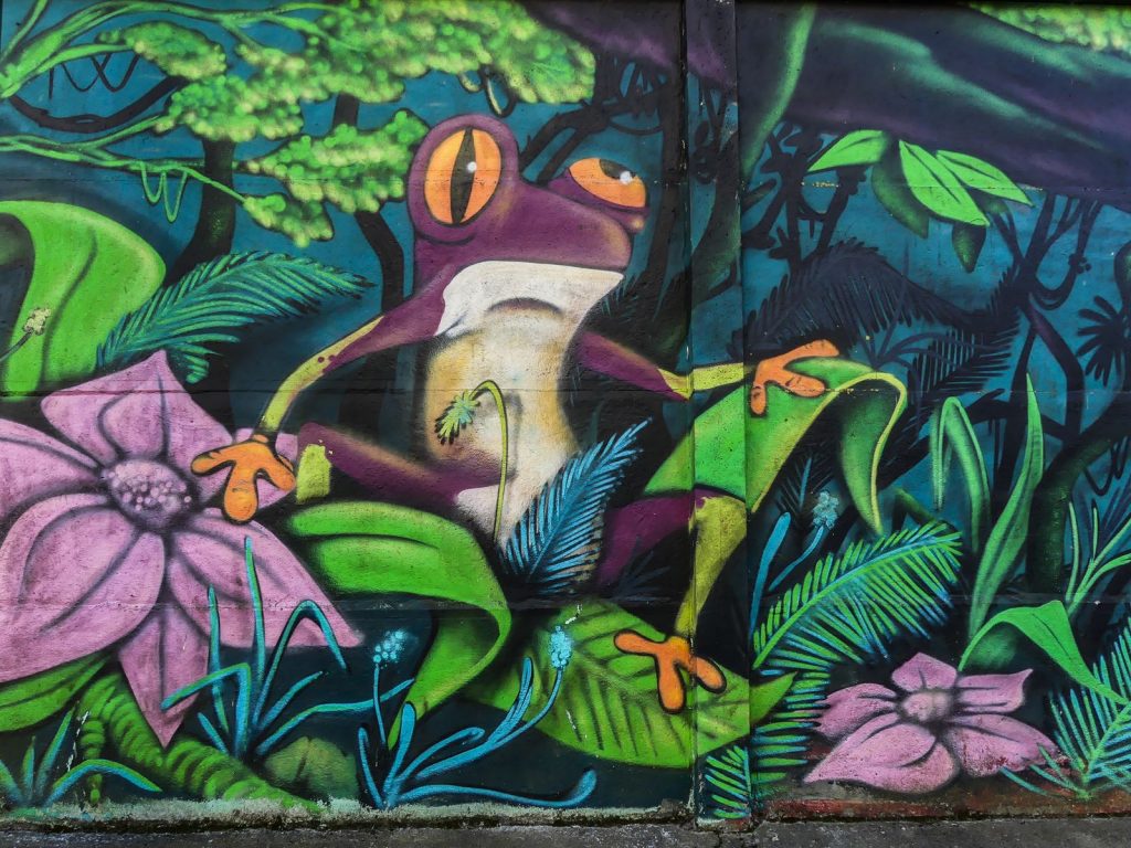 Claironyva Tours Val de Loire Tourraine France Street art