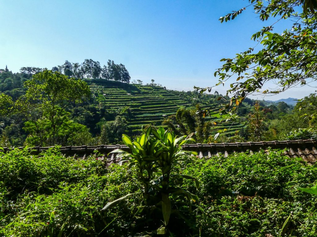 Munduk plantation café