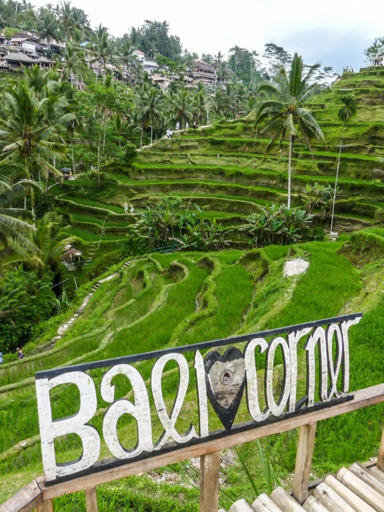 Bali Tegallalang rizières terrasse