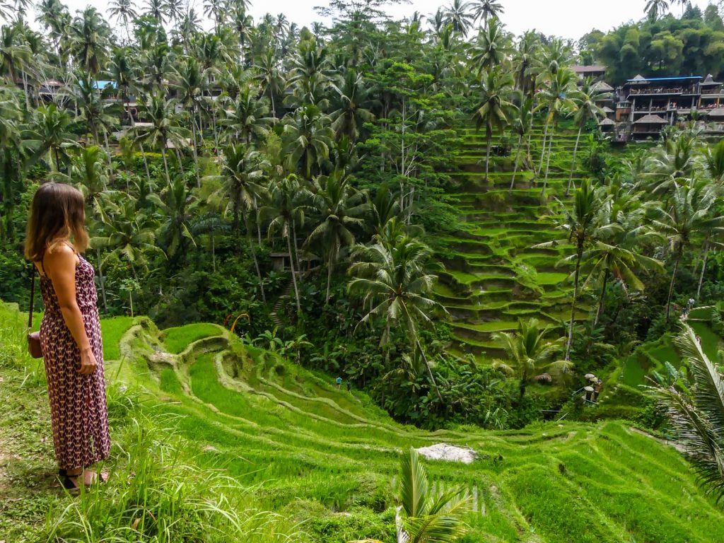 Bali Tegallalang rizières terrasse
