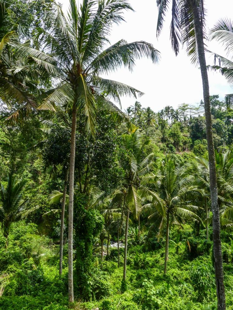 Ubud Bucu View Resort