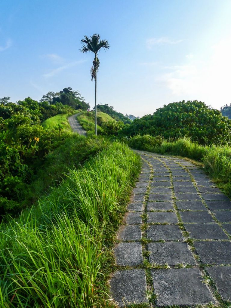 Bali Ubud Campuan Ridge Walk