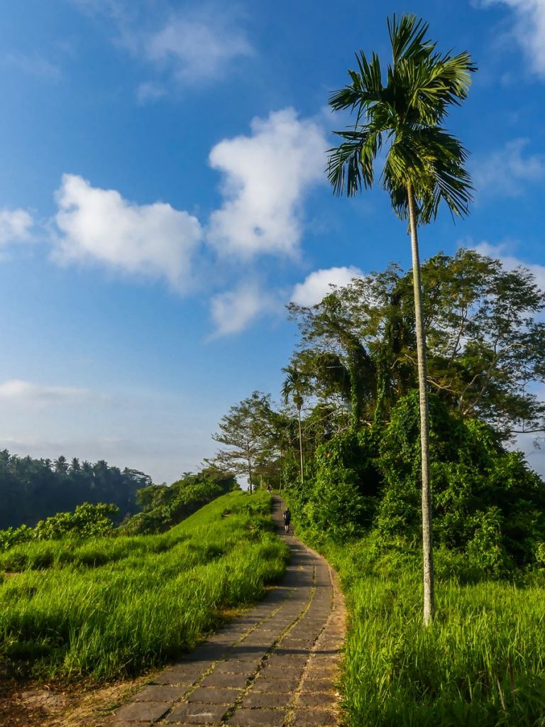 Bali Ubud Campuan Ridge Walk