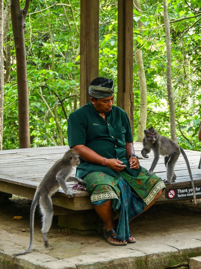 Ubud Monkey Forest