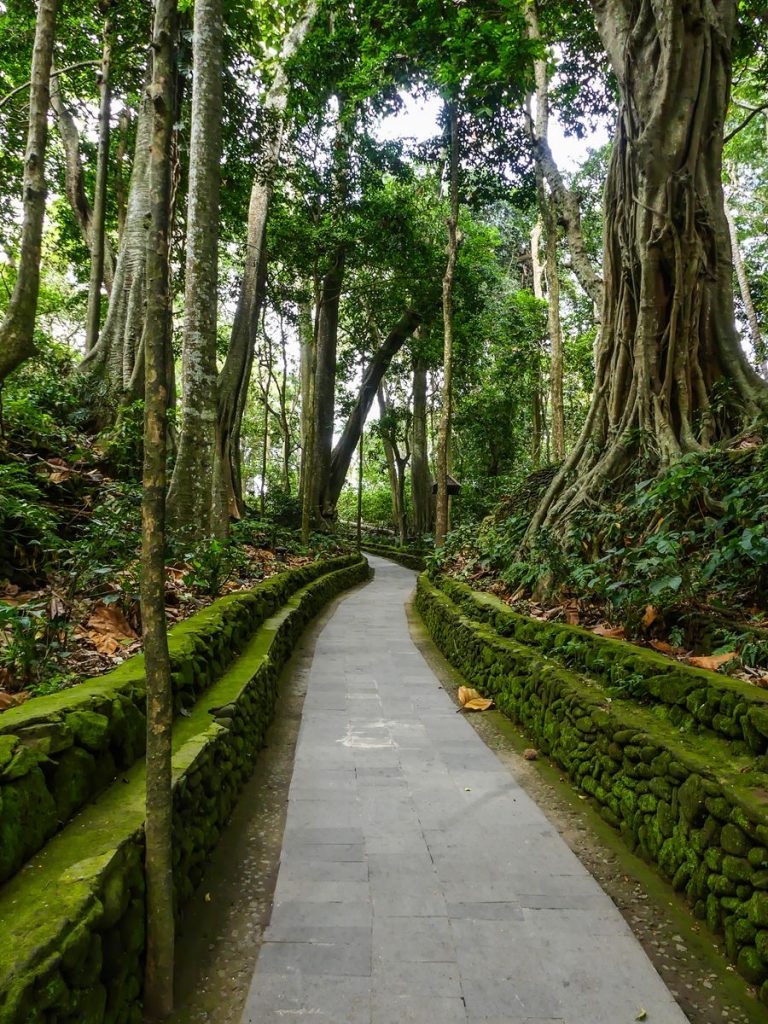 Ubud Monkey Forest