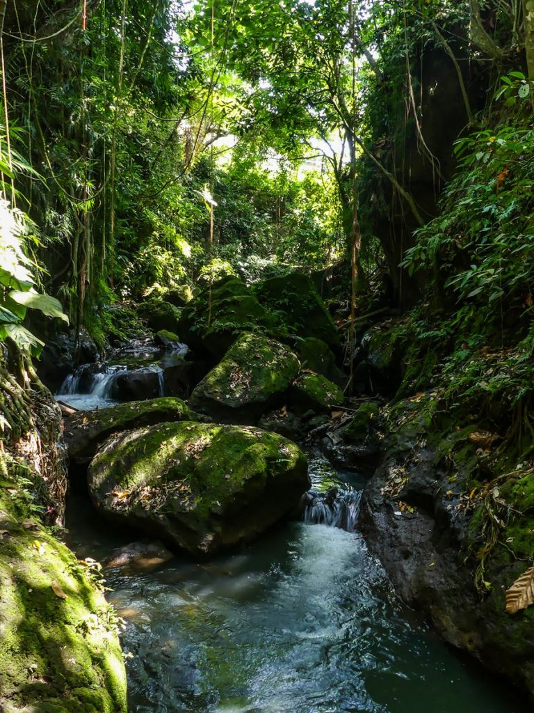 Ubud Monkey Forest
