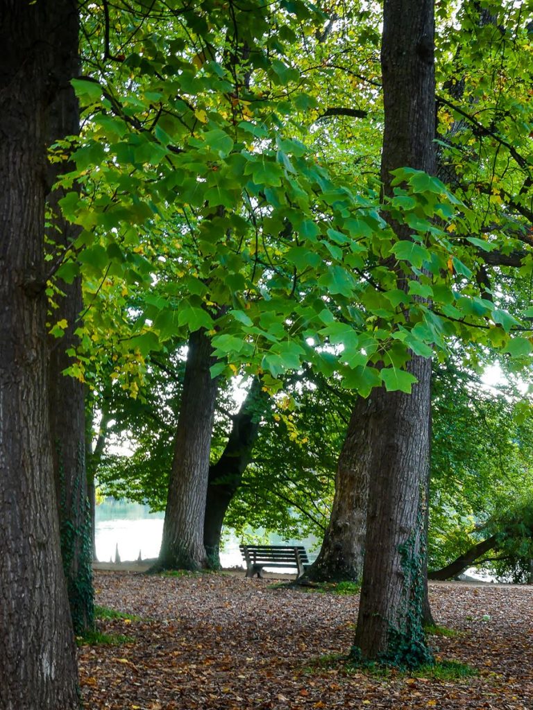Parc de la Tête d'Or à Lyon