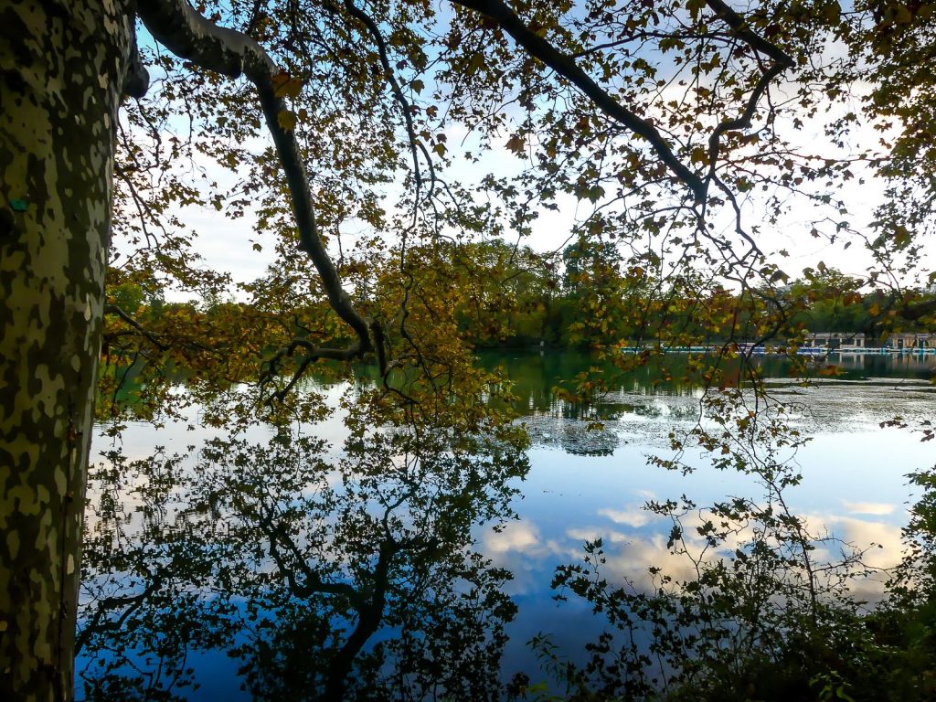 Lyon-Parc de la Tête d'Or