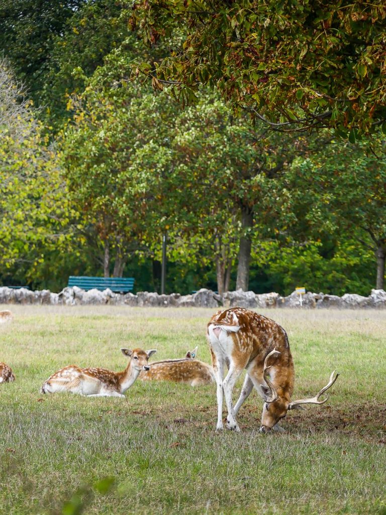Lyon-parc de la Tête d'Or