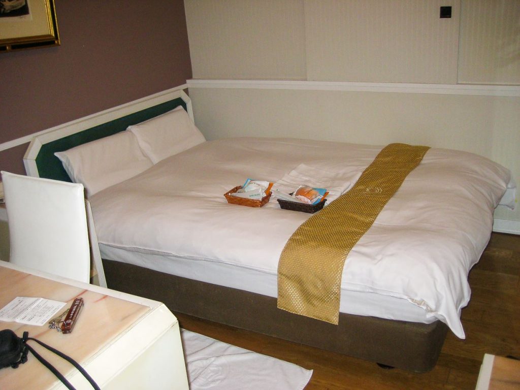 New Osaka Hotel