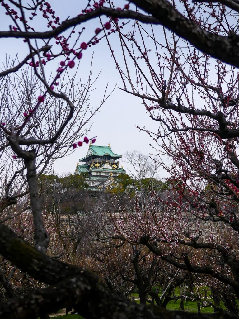 Osaka - Chateau d'Osaka
