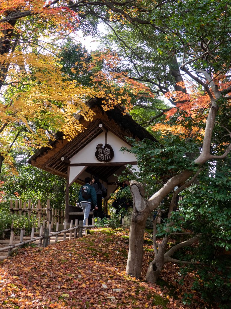 Kenroku-en en automne - Kanazawa