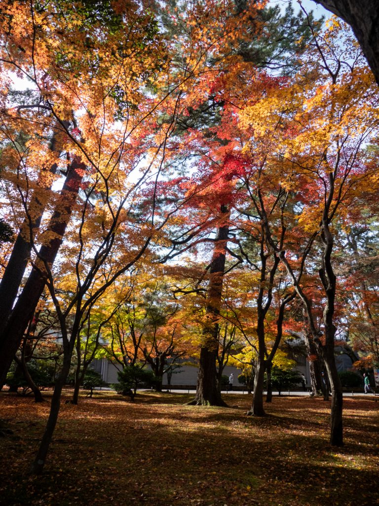 Kenroku-en en automne - Kanazawa