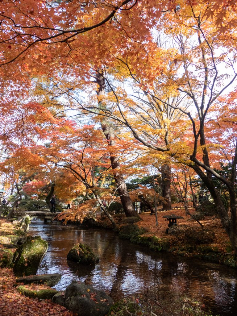 Kenroku-en en automne - Kanazawa