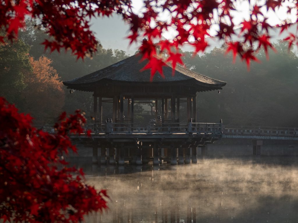 Pavillon Ukimiko - Nara