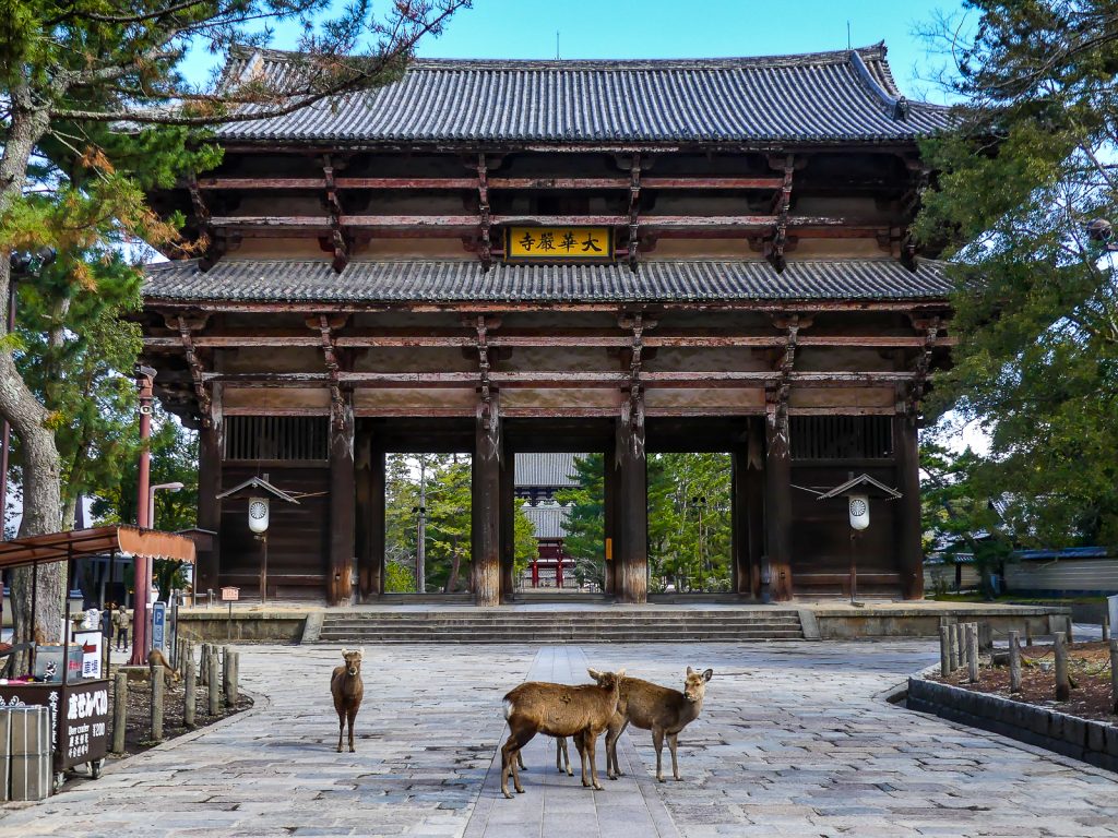 Nara - Porte Nandaimon