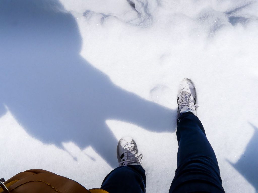 Premiers pas de l'année dans la neige !