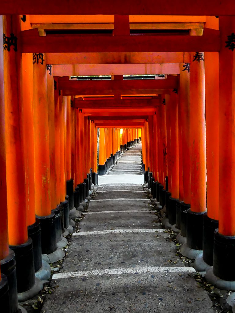 Les Torii de Fushimi Inari