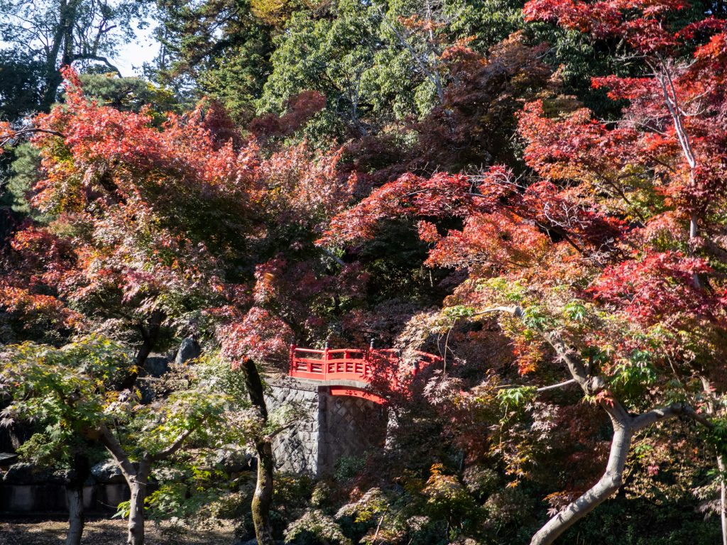 Kita-in Kawagoe - A 1h de Tokyo