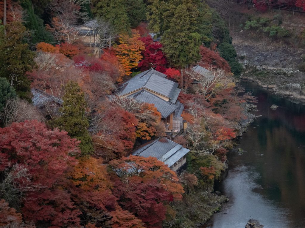 Parc Arashiyama 