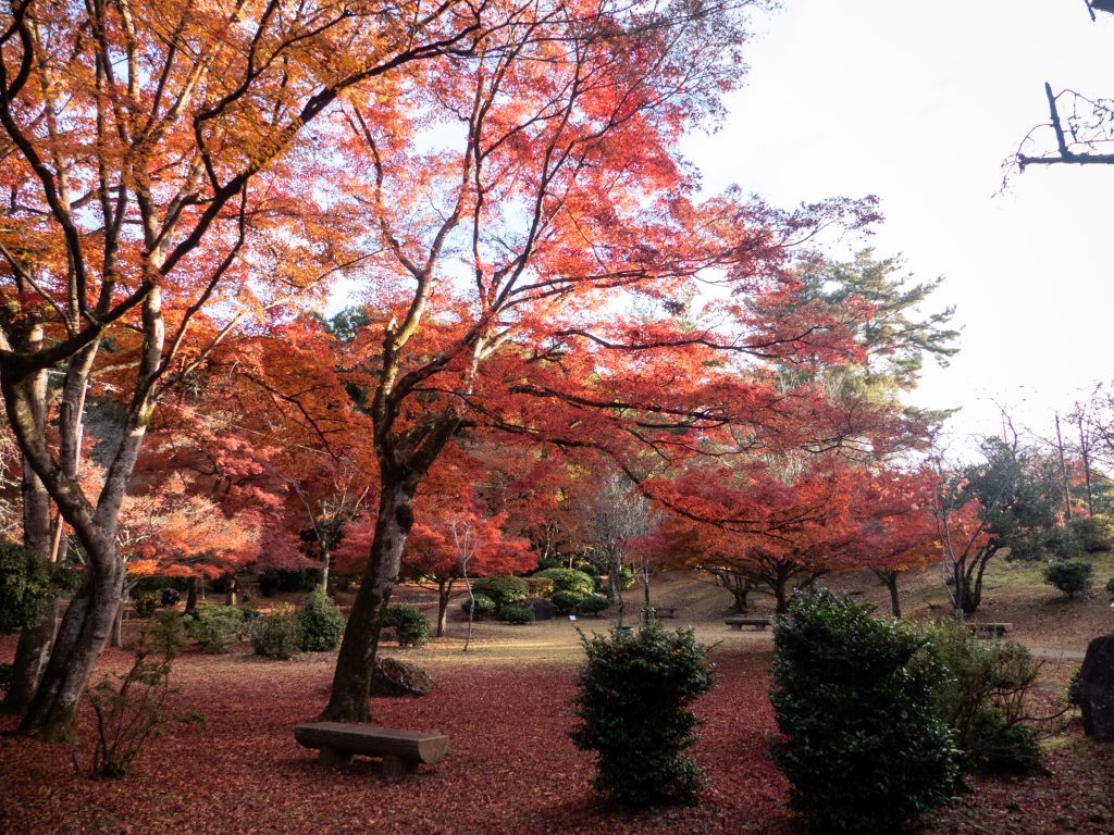 Parc Arashiyama 