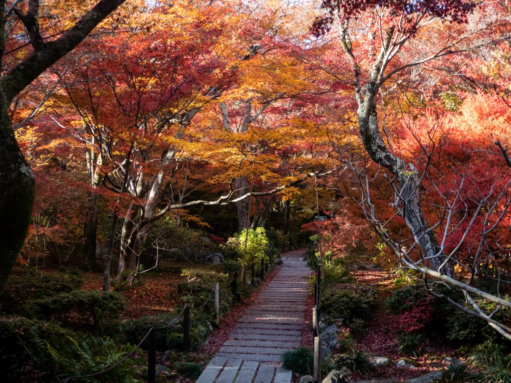 Hyogo-in - Kyoto
