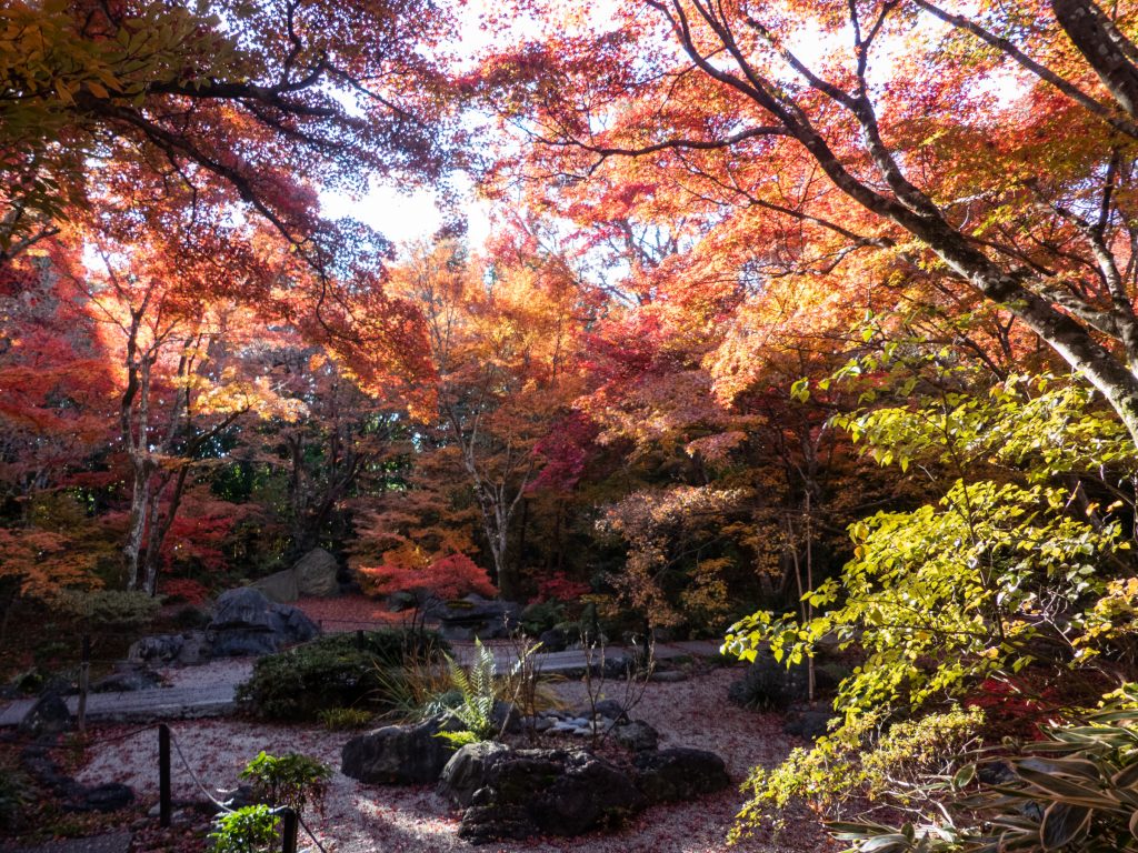 Hyogo-in - Kyoto