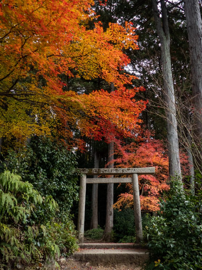 Enko-ji temple zen - Kyoto