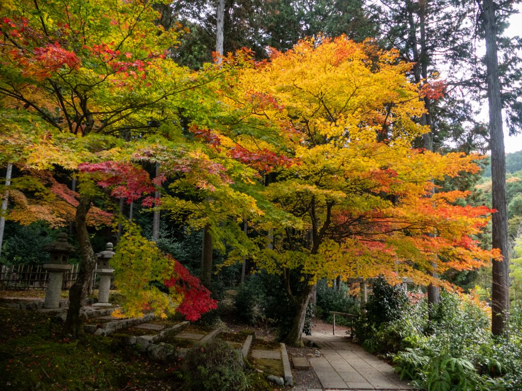 Enko-ji temple zen - Kyoto