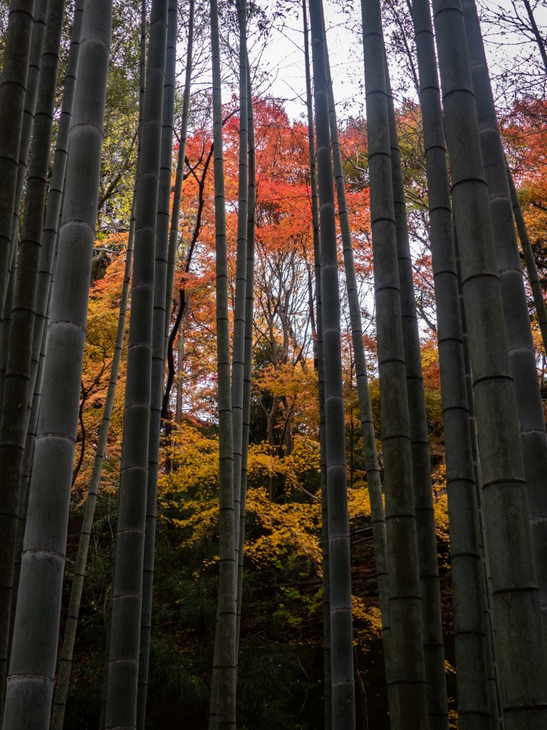 Enko-ji temple zen - Kyoto