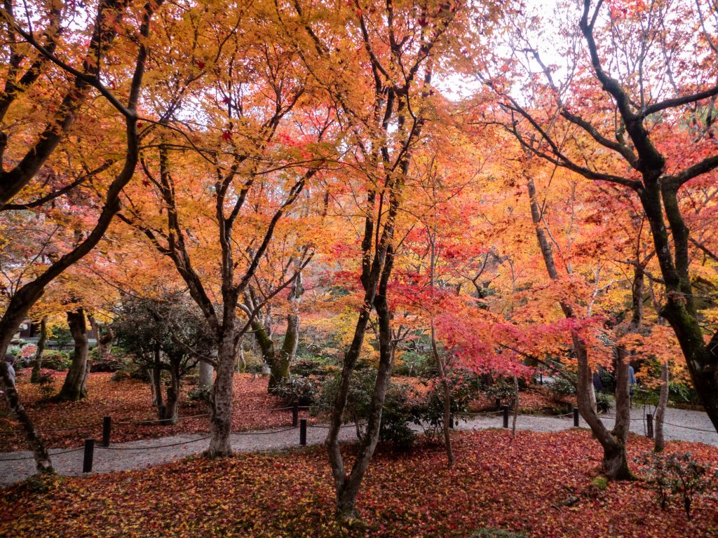 Enko-ji temple zen - Kyoto