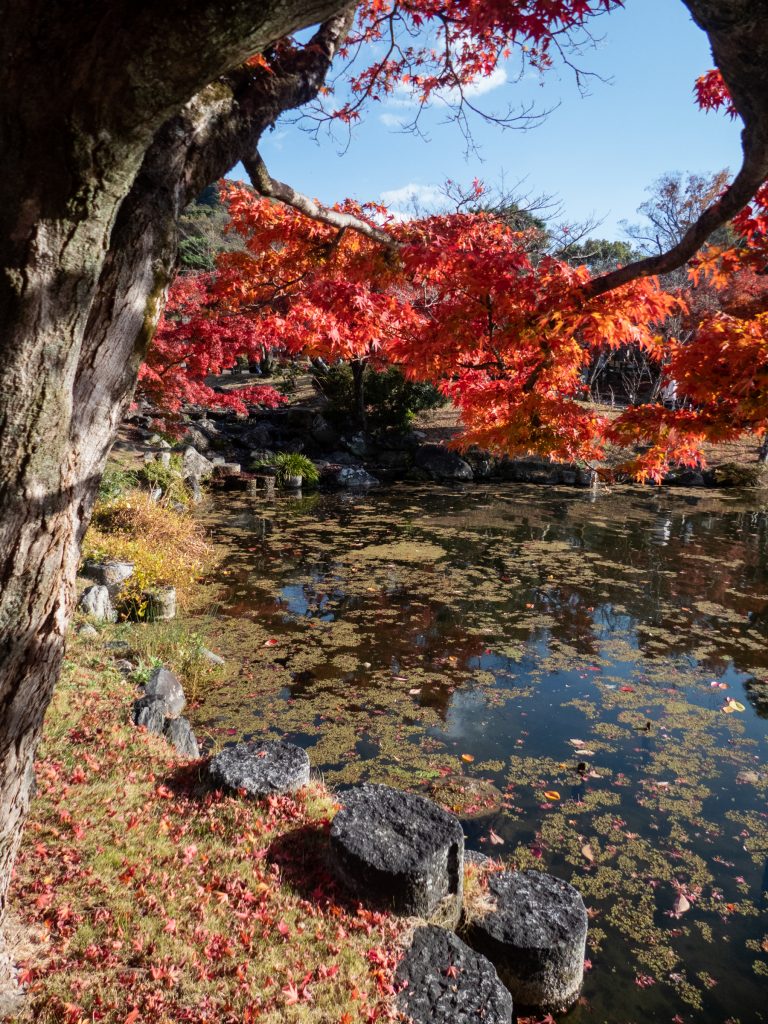 Parc Maruyama - Kyoto