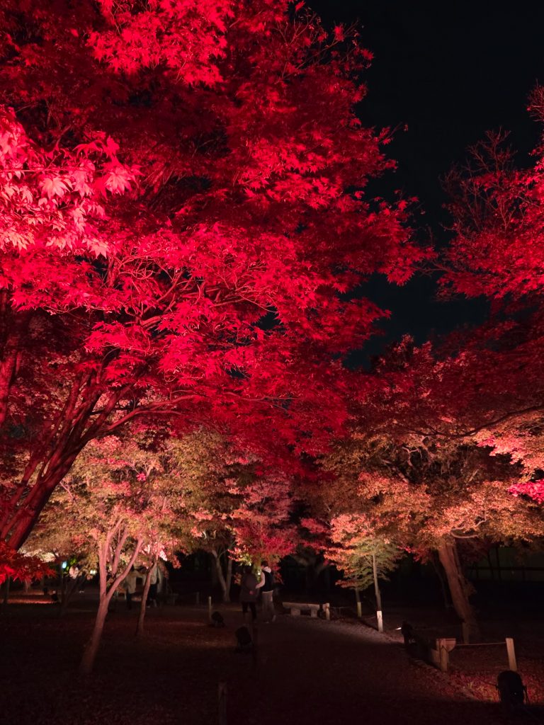 NAKED Nijo-jo Kyoto by night