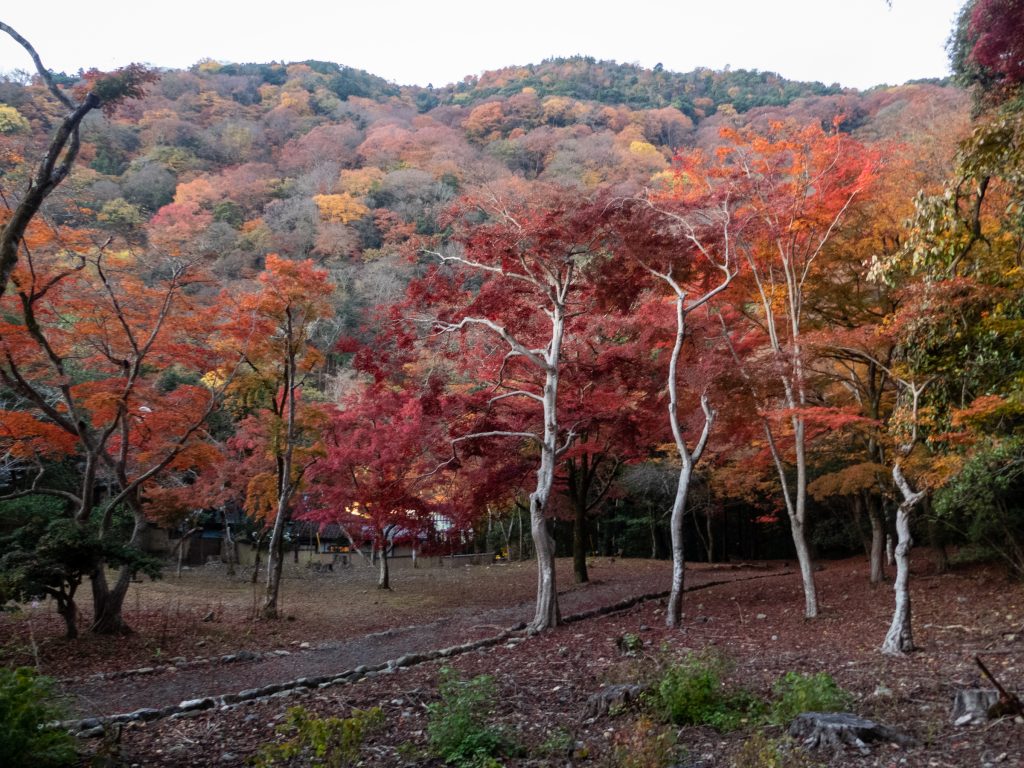 Parc Arashiyama - Kyoto
