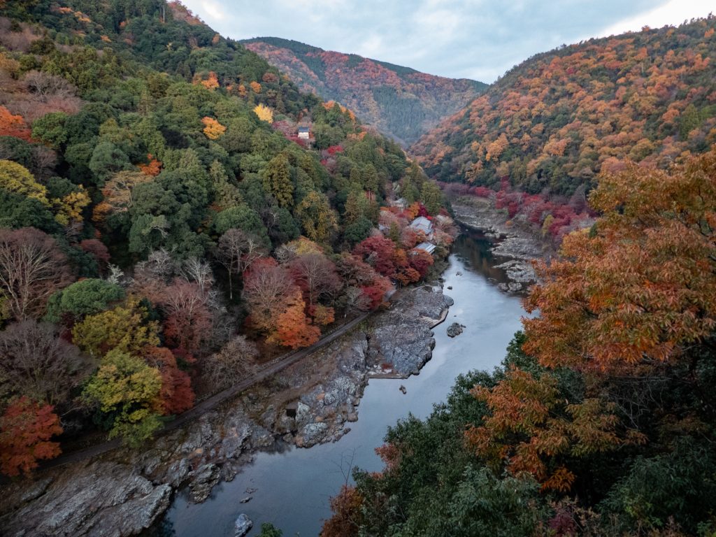 Vue depuis le parc d'Arashiyama - Kyoto
