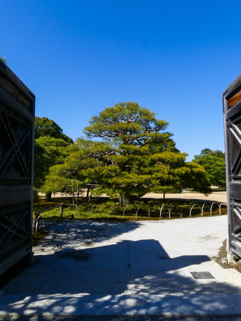 Jardins du château Nijo - Kyoto