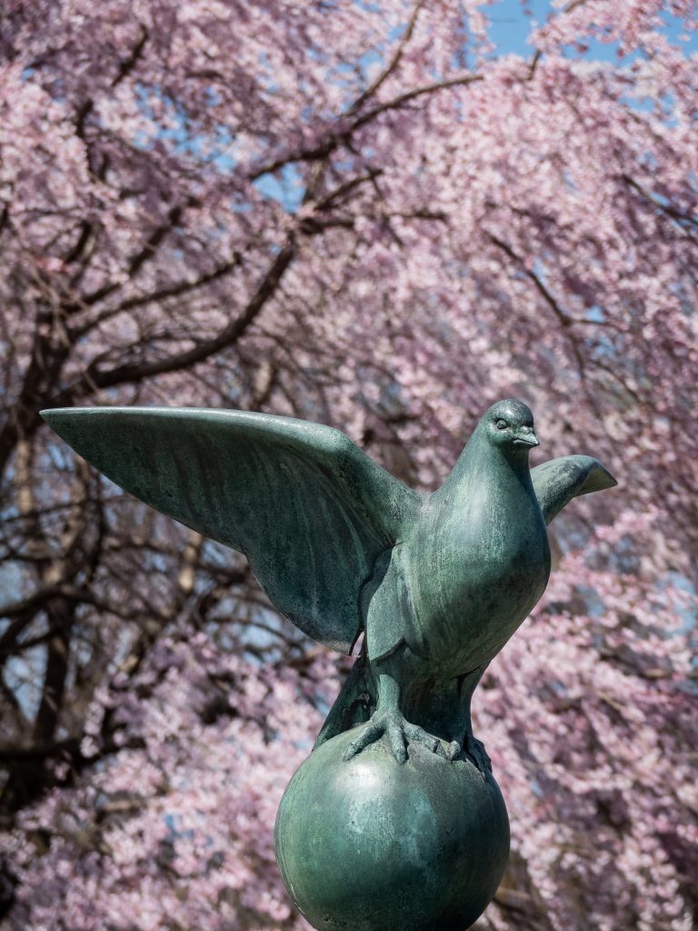 Parc Maruyama - Kyoto