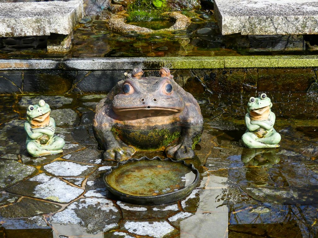 Jardins du temple Tenryu-ji