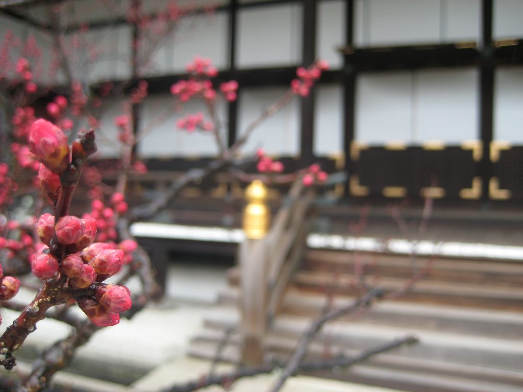 Visite du Palais Impérial de Kyoto