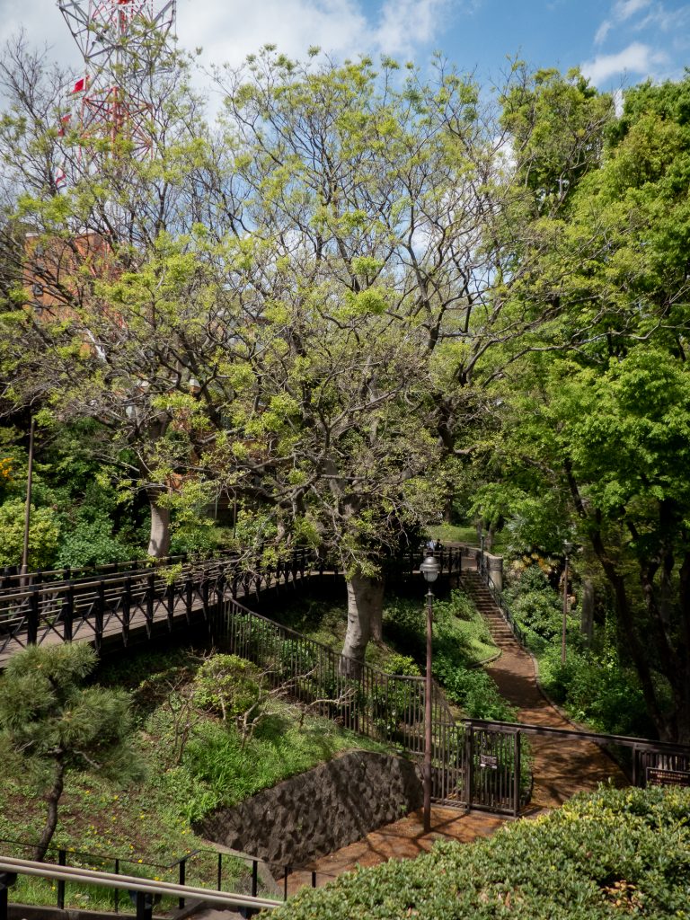 Yokohama - descente du parc de l'observatoire