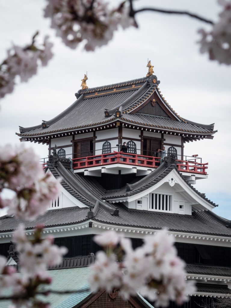 Kiyosu et ses cerisiers