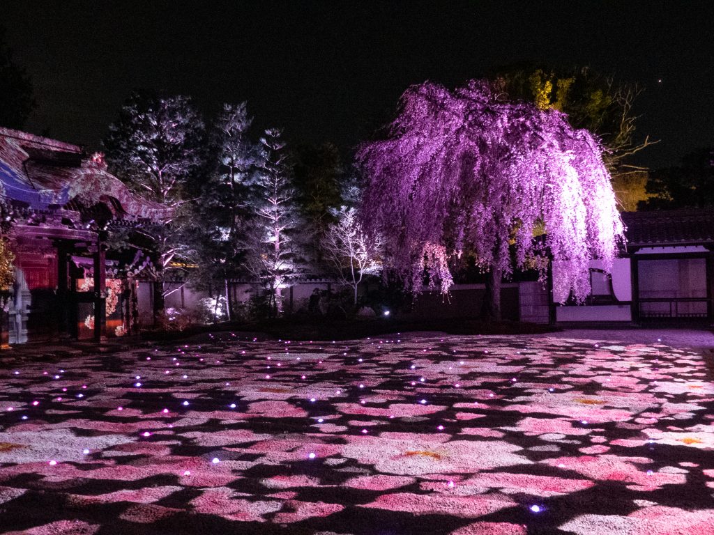Kyoto - Kodai-ji by night - que faire au Japon la nuit