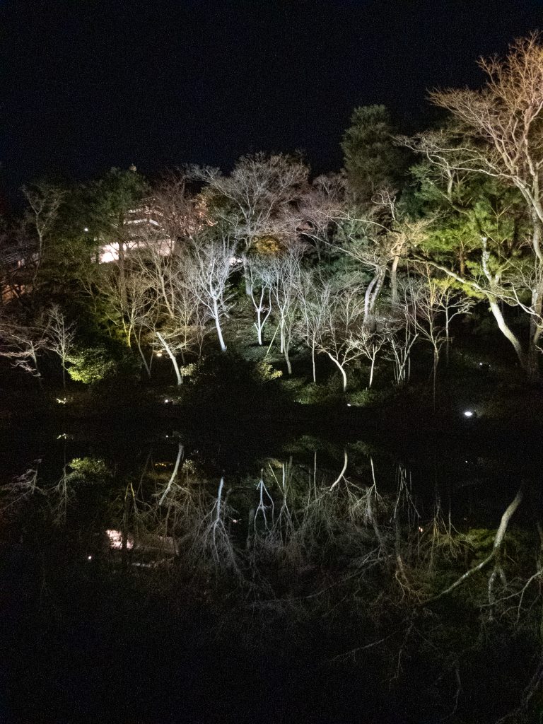 Kyoto - Kodai-ji by night