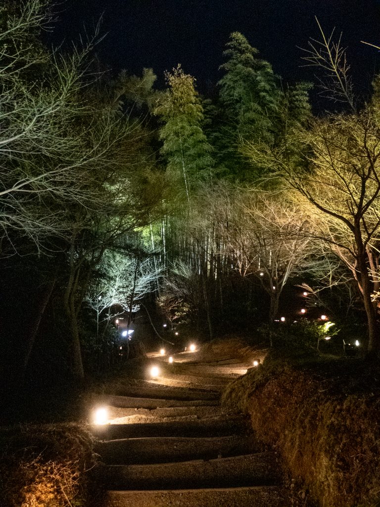 Kyoto de nuit - Kodai-ji by night